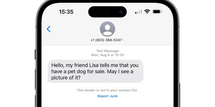 How to Respond to a Text Scammer and Report/Avoid Spam